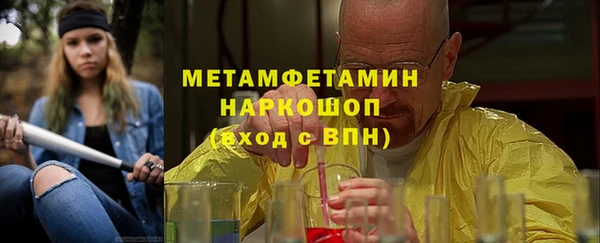индика Волосово