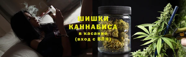 индика Вяземский