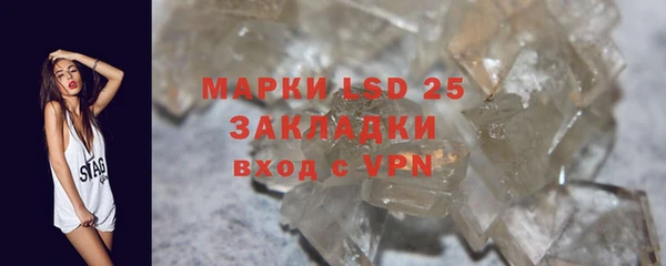 индика Волосово