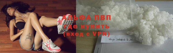 индика Волосово