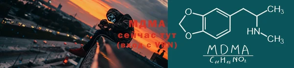 индика Вяземский
