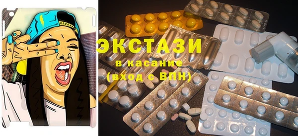 индика Волосово