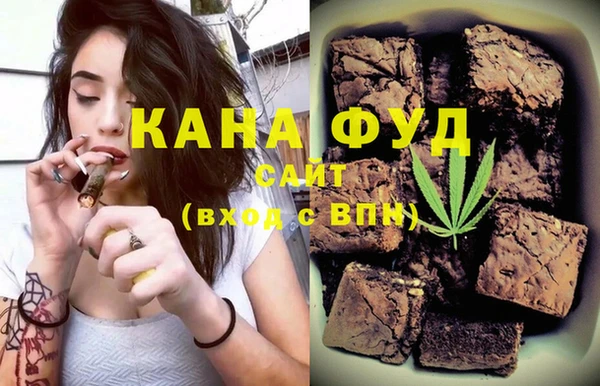 индика Волосово