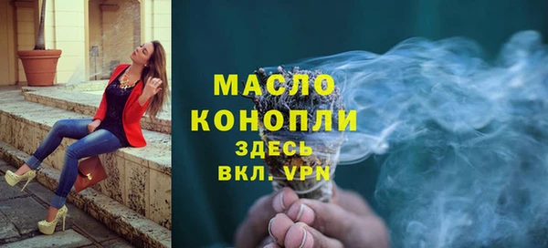 индика Волосово