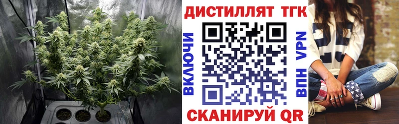 даркнет Telegram Заозёрный ТГК гашишное масло