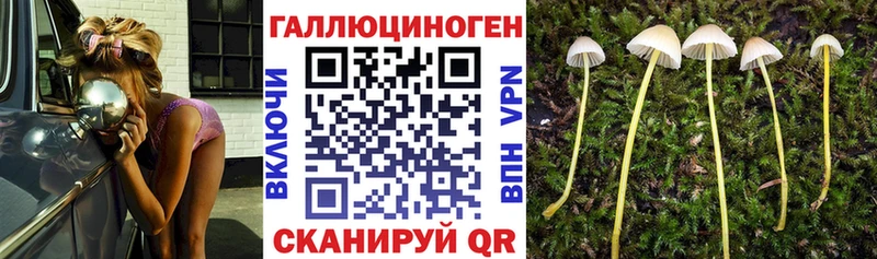 хочу наркоту  blacksprut tor  Псилоцибиновые грибы Psilocybine cubensis  Заозёрный 